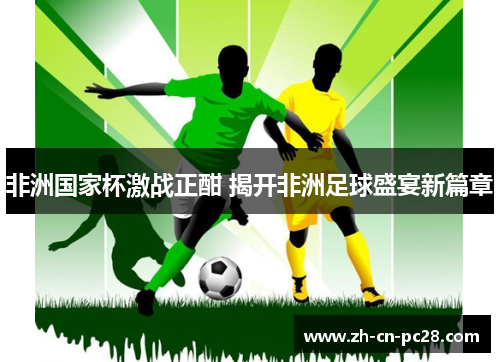 非洲国家杯激战正酣 揭开非洲足球盛宴新篇章